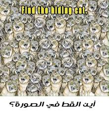 لغز أعثر على القط في الصورة