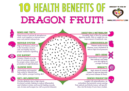 10 Amazing Health Benefits Of Dragon Fruit Coconut Health
