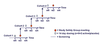 The Phases Of Preclinical And Clinical Trials