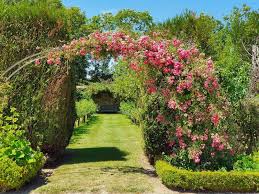 Quelle est la différence entre jardin à la française et jardin à l'anglaise? Chateau De Saint Jean De Beauregard Comite Des Parcs Et Jardins De France