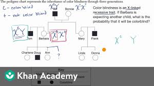 Pedigree For Determining Probability Of Exhibiting Sex