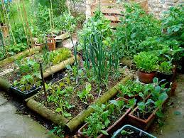 Für viele menschen ist oder wird dieses thema immer bedeutsamer: Der Perfekte Selbstversorger Garten Alles Erfullt Einen Zweck Und Schmeckt Dazu Noch Kostlich Mymonk De