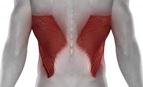 As far as i know you dont even and it always becomes more obvious when you stretch because the skin is thinning out. Latissimus Dorsi Pain Symptoms Causes And Exercises For Relief
