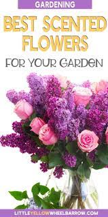 Best Smelling Flowers To Plant In Your Summer Garden Best Smelling Flowers Smelling Flowers Planting Flowers