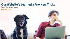 Banfield Pet Hospital 472 North 990 West American Fork Reviews And Appointments Topvet