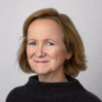 Gerardo Tirado Mayer Email & Phone Number