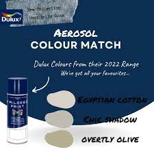 Dulux Colour Match Aerosol Spray Paint