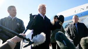 DEATH: LISA F. TILLMANN