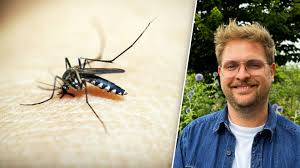 Sofia coste nude gradual peel