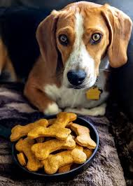 So, i decided to make some of my own. Homemade Dog Treats Mom On Timeout
