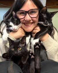 This is Sophie. Sophie is one of our wonderful volunteers . Sophie says  “Maureen, can you adopt Artemis out with her two very best friends Benny &  Jett? Then we have multiple