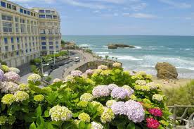 Check spelling or type a new query. Coronavirus Biarritz Prend Des Mesures Pour Limiter L Impact Du Covid 19