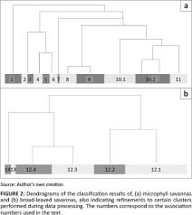 Image result for Felicia clavipilosa