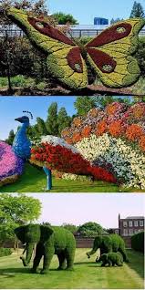 Dubai Miracle Garden New Look In 2018 World S Largest Flower Garden In Dubai Full Coverage Video Miracle Garden Flowers Love Flowers