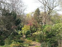 24, 47058 duisburg, ist eine kleine. Botanischer Garten Duissern Kaiserberg 2 Bewertungen Duisburg Duissern Schweizer Strasse Golocal