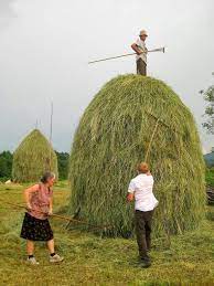 The Art Of The Romanian Haystack ~ Kuriositas