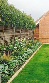 Pin On Organic Gardening