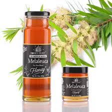 Image result for Melaleuca