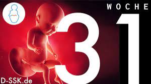 #31# is a duo made of producer ak12 (thessaloniki) and lyricist/rapper greg (ioannina). 31 Ssw 31 Schwangerschaftswoche D Ssk De Youtube