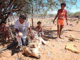 Últimas notícias de futebol, esportes, política, economia, concursos, classificados, empregos, cinema, trânsito em fortaleza e no ceará é no diário do nordeste. E O Sertao Nao Virou Mar O Sertao Virou Sertao Veja