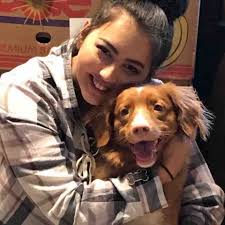 Fundraiser by Angela Hall : Macie's Surgery