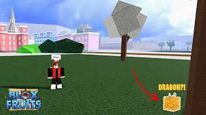 Blox fruits codes for beli; Trying To Find The Dragon Fruit Roblox Blox Fruits Youtube