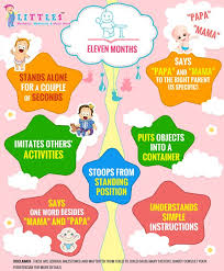 milestones of 11 month old baby baby development