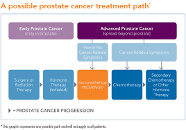 The symptoms you get depend on where the cancer has spread to. Patient Criteria For Provenge Treatment