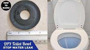If, when you return, you find that the water in the bowl is tinted with the same color as the food dye, you definitely have a. Diy How To Stop Water Leaking Running Dripping Trickling Into Toilet Bowl Pan Fix Repair Wc Youtube