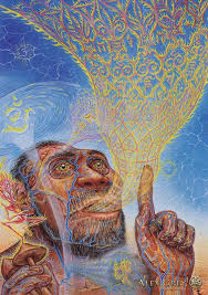 46 deer hill rd wappinger, ny 12590 usa phone: Visionary Origin Of Languag Alex Gray Art Visionary Art Grey Art