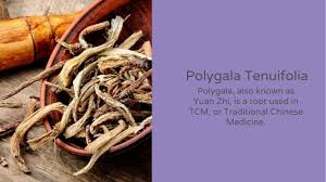 Image result for Polygala products