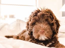 We did not find results for: Care Archives Lyka