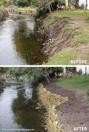 River Bank Revetment With Willow Spiling Willow Spiling Is The Most Common And Best Known Green Solution For Bank Revetm Landscape Living Willow Sloped Garden