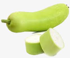 Bottle Gourd Calabash Free Transparent Png Download Pngkey Using search and advanced filtering on pngkey is the best.