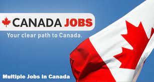 Leverage your professional network, and get hired. Exciting Jobs In Canada For Foreigners 1000 Vacancies 2021