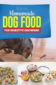 Making your own food is convenient, easy and gives you the control over what she eats. Recipe Homemade Dog Food For Digestive Disorders Dog Food Recipes Healthy Dog Food Recipes Homemade Dog Food