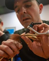 Strike Zone Fly Fishing