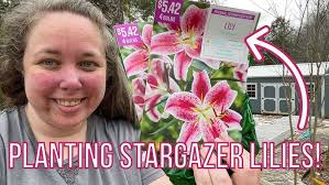 Bulbs for Texas! Crinum, Lily, Canna, Daylilies, Elephant Ears