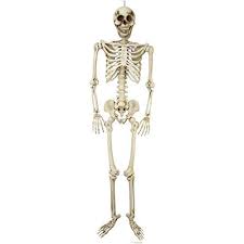 What to do with a skull at a halloween party? Halloween Haunters Giant 7 Foot Hanging Full Body Skeleton Plastic Prop Decoration Posable Joints Realistic Hu Human Bones Halloween Outdoor Decorations Skull