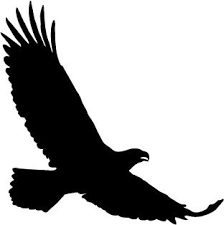 Big Bird With White Head And Black Body Eagle Stencil Eagle Silhouette Silhouette Clip Art Soldier Silhouette