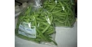 Congeler Des Haricots Verts Frais Libertalia Haricots Verts Congeler Haricots Verts Conserve Haricots Verts