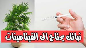 أهمية استخدام الفيتامينات في الزراعة novelty christmas holiday decor the creator