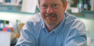 Iris Kingma's Instagram, Twitter & Facebook