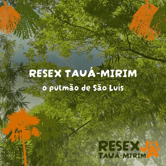 Resex Tau�-Mirim J�: A luta pela conserva��o da natureza e da cultura dos povos tradicionais em S�o Lu�s - Justi�a nos Trilhos