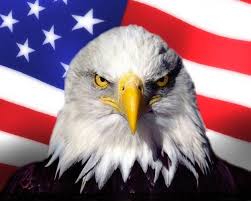 The Eagle Things You Might Not Know About The Symbol Of America Eagle Symbol Eagles American Eagle