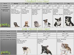 Teacup Poodle Size Chart Goldenacresdogs Com