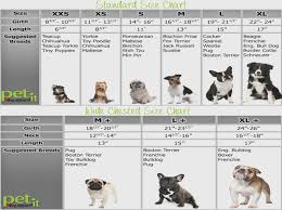 teacup poodle size chart goldenacresdogs com