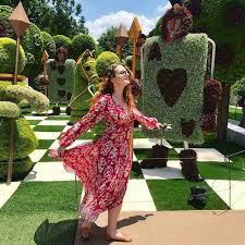 We did not find results for: The Atlanta Botanical Gardens Throws The Best Thursday Night Parties In The City Atlanta Botanical Garden Botanical Gardens Atlanta