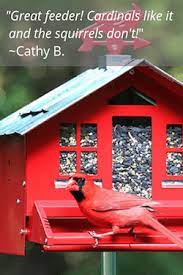 The northern cardinal, cardinalis cardinalis, ranks as one of the most recognized birds in north america. How To Attract Northern Cardinals To Your Yard Attracting Birds Wild About Birds