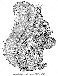 R Sultats Google Recherche D Images Correspondant Http Thumb101 Shutterstock Com Display Pic Wi Squirrel Coloring Page Animal Coloring Pages Coloring Pages